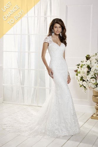 69473-camelia-lc