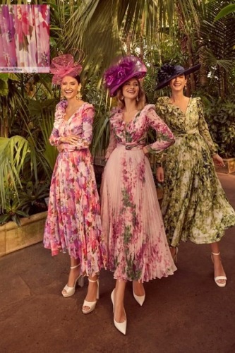 46043-lilac-pink-rose