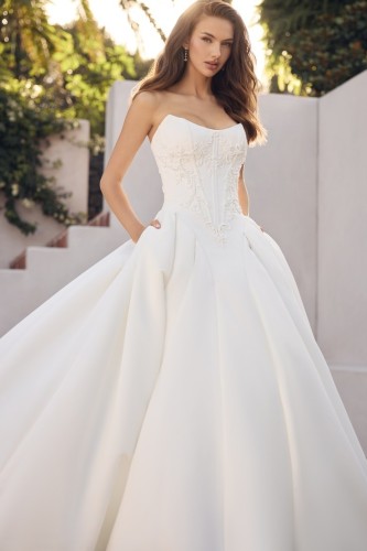 Sophia-Tolli-new-cover-photo